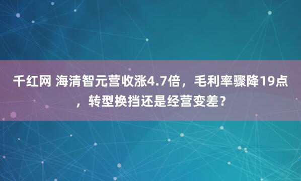 千红网 海清智元营收涨4.7倍，毛利率骤降19点，转型换挡还是经营变差？
